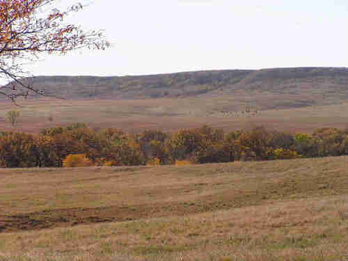 Prairie Hills